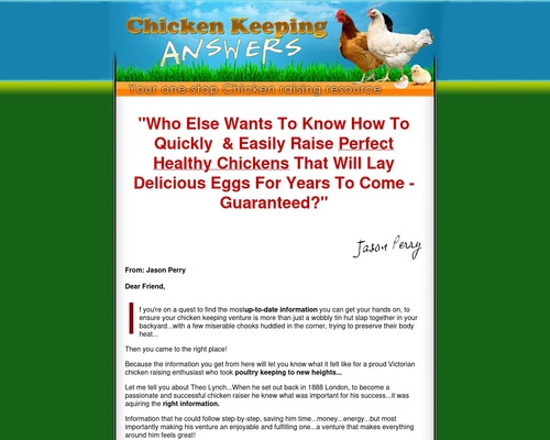 Answers To Elevating Chickens – A entire info to Holding Chickens